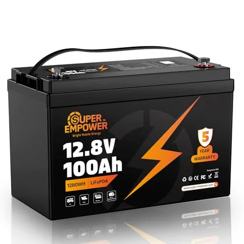 SUPER helps 12V 100Ah LiFePO4 Group 31 Battery