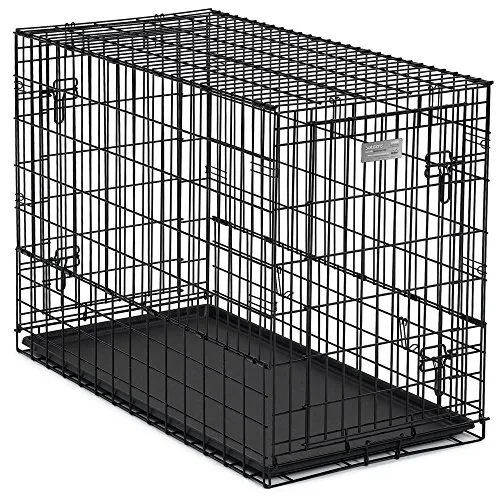 7 Best Dog Crates For Van Life (2026 Review Guide)