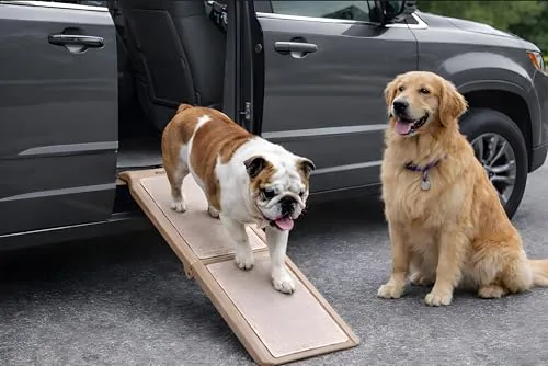 Pet Gear SupertraX Bi-Fold Dog and Cat Ramp 42in