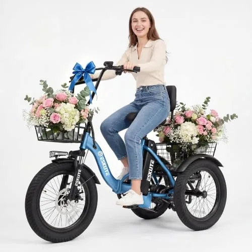 ESKUTE Folding E-Trike 500W Motor 624Wh Fat Tire