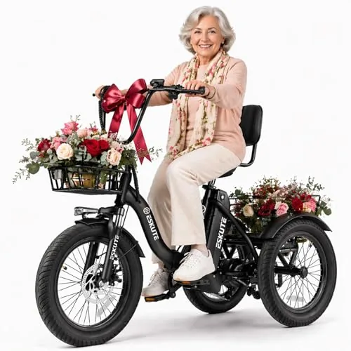 ESKUTE Folding Electric Trike 500W 624Wh Fat Tire