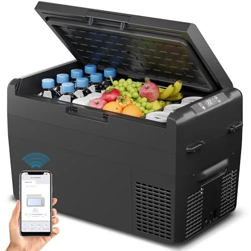 Feelfunn 27QT 12V Portable Freezer with App Control